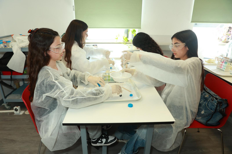 lab